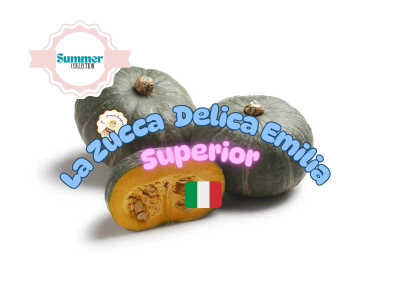 La Zucca Delica Emilia Superior