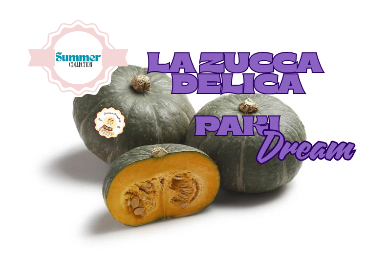 La Zucca Delica PakiDream