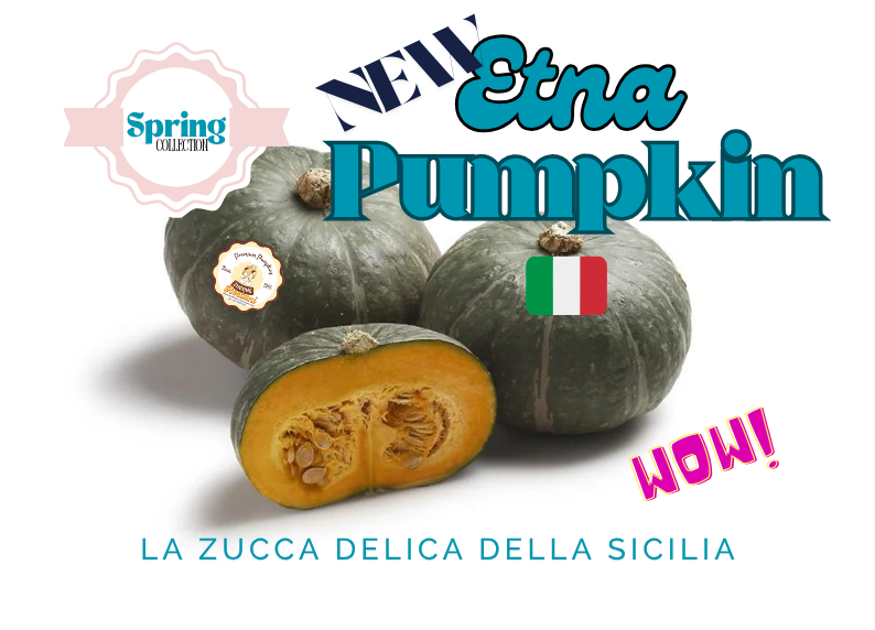 New Etna Pumpkin – La Zucca Delica della Sicilia