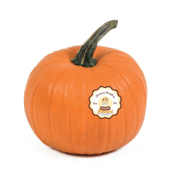 Zucca Halloween Jack O’Lantern