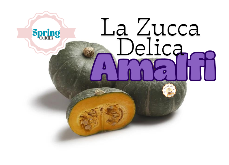 La Zucca Delica Amalfi