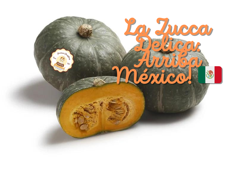 La Zucca Delica: Arriba México! 🇲🇽