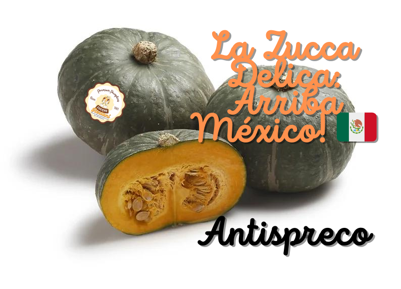 La Zucca Delica: Arriba México! Antispreco