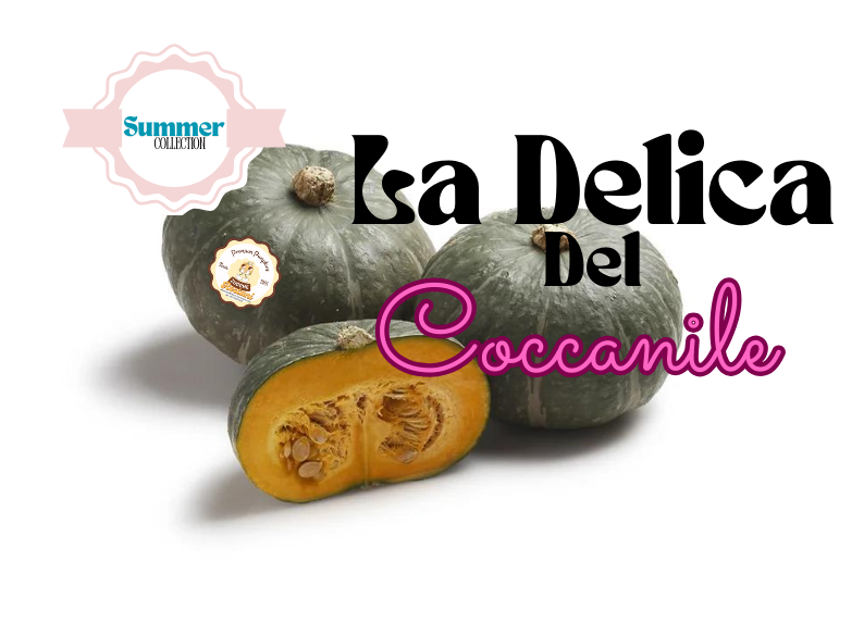 La Zucca Delica del Coccanile