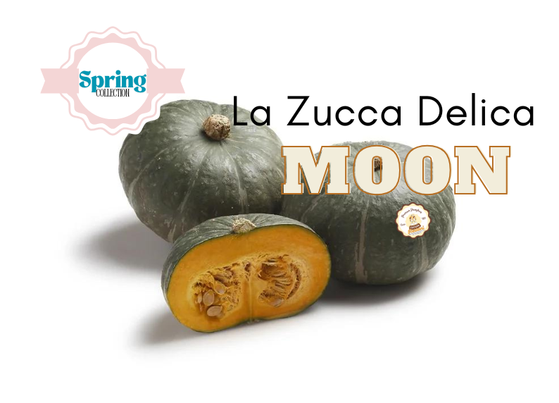 La Zucca Delica Moon