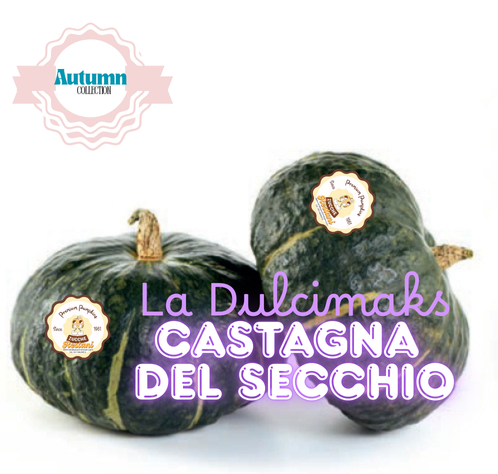 La Dulcimaks Castagna del Secchio