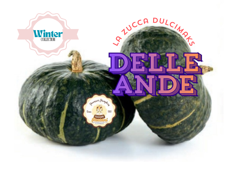 La Zucca Dulcimaks delle Ande
