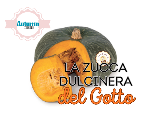 La Zucca Dulcinera del Gotto