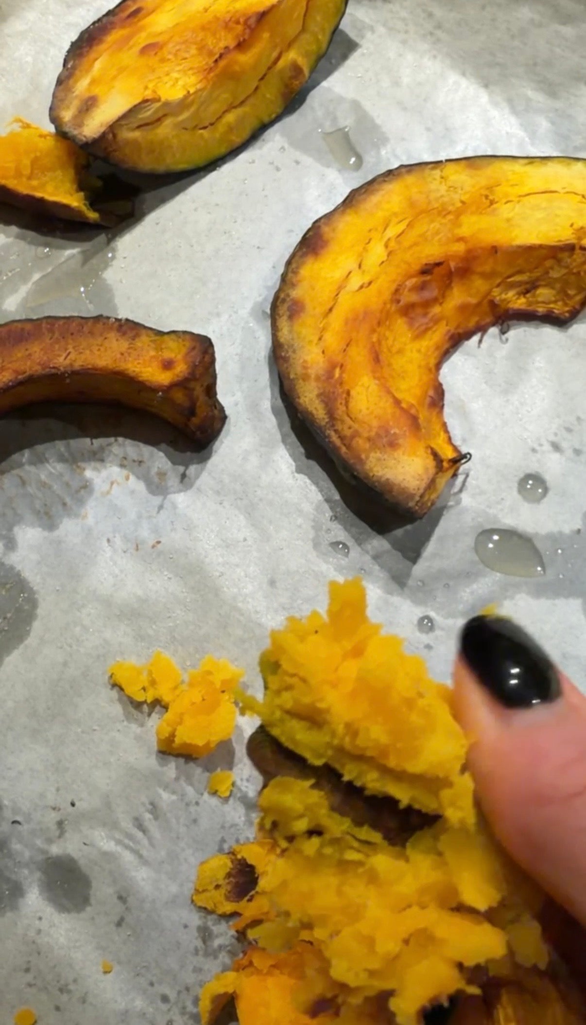 La Zucca Delica del Coccanile