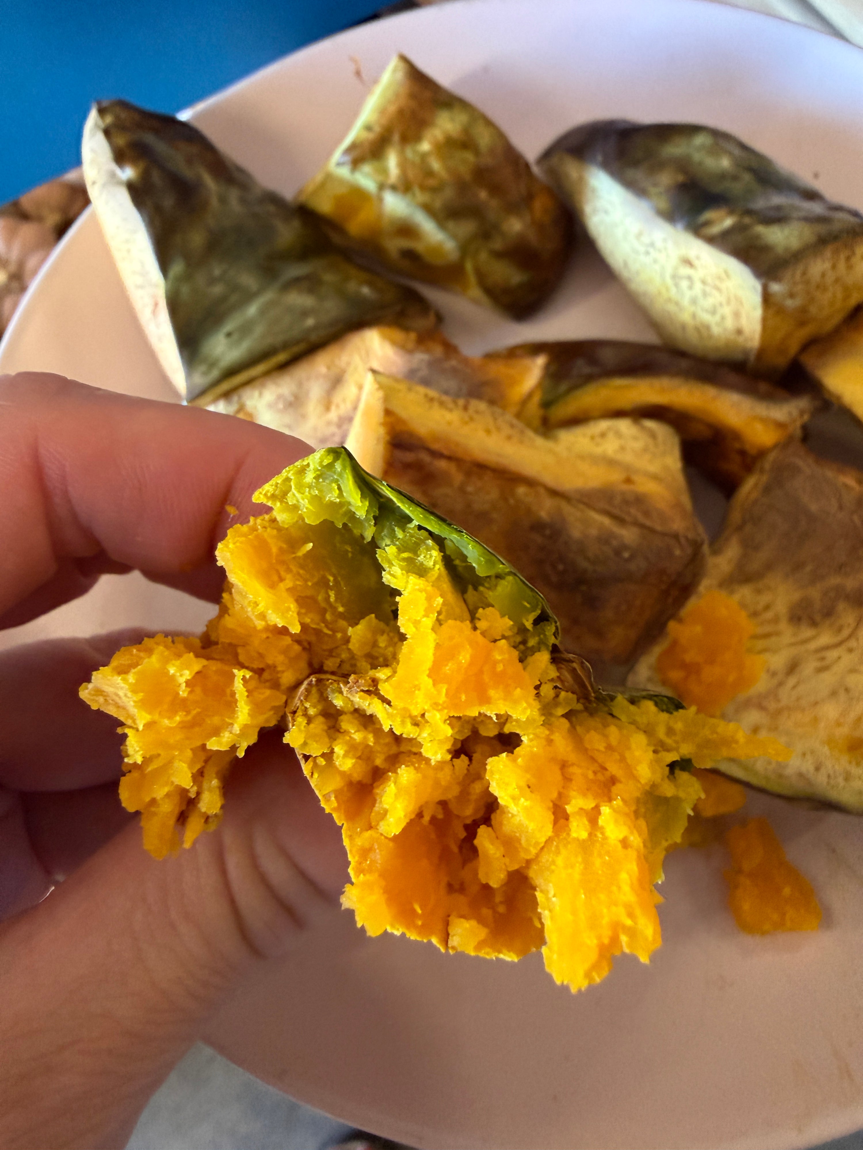 La Zucca Cappello Don Balbo