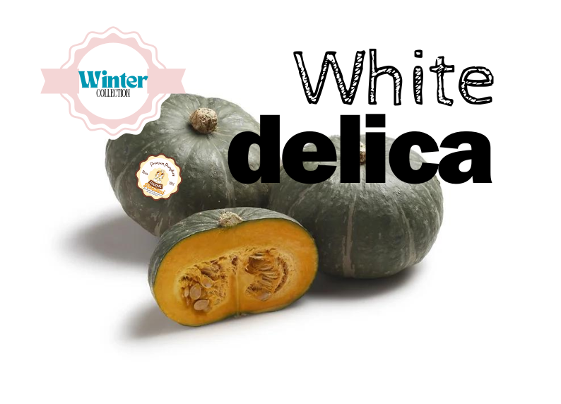 La Zucca White Delica