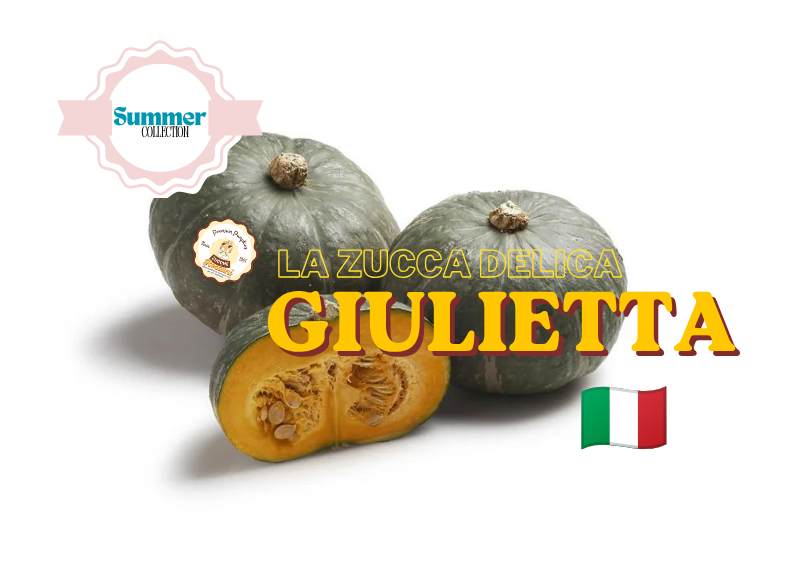 La Zucca Delica Giulietta