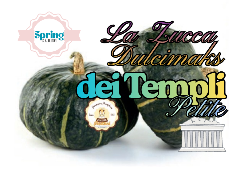 La Zucca Dulcimaks dei Templi PETITE