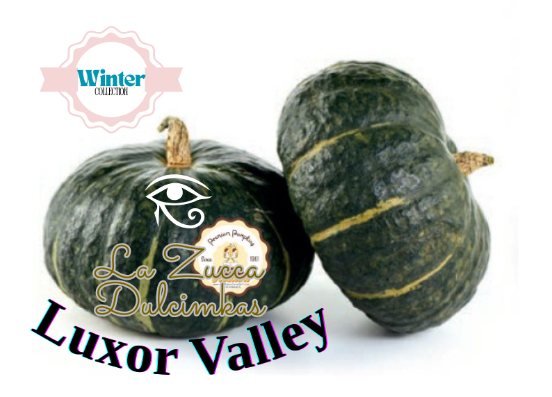 La Zucca Dulcimaks Luxor Valley