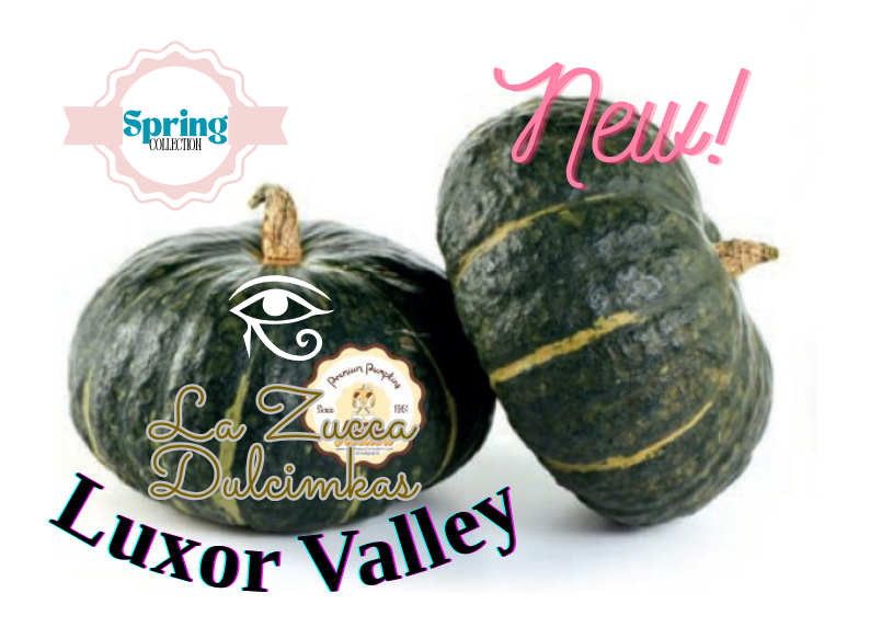 La Zucca Dulcimaks Luxor Valley NEW!