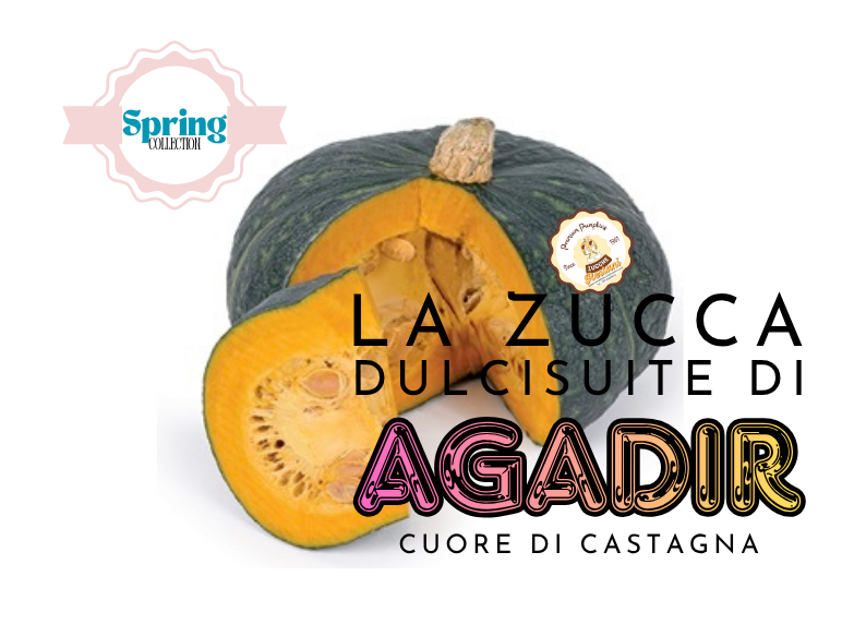 La Zucca Dulcisuite di Agadir – Cuore di Castagna