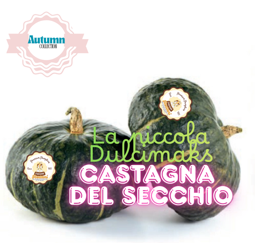 La Piccola Dulcimaks Castagna del Secchio