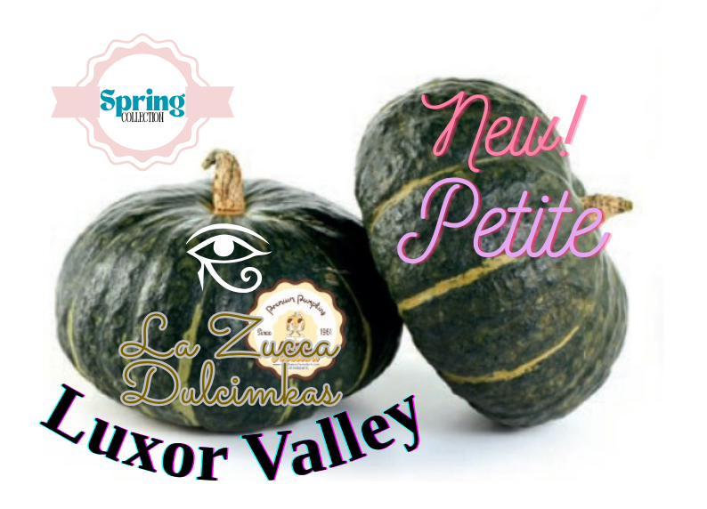 La Zucca Dulcimaks Luxor Valley NEW! PETITE