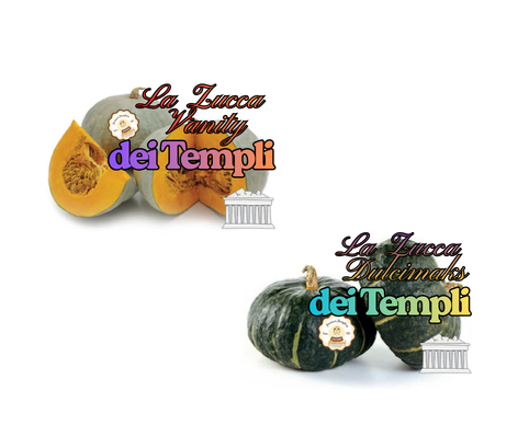 Box Mix Templi Selection