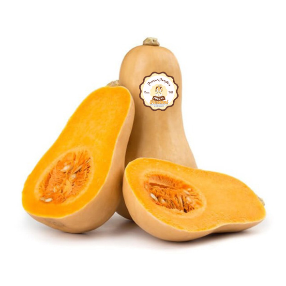 Zucche Butternut